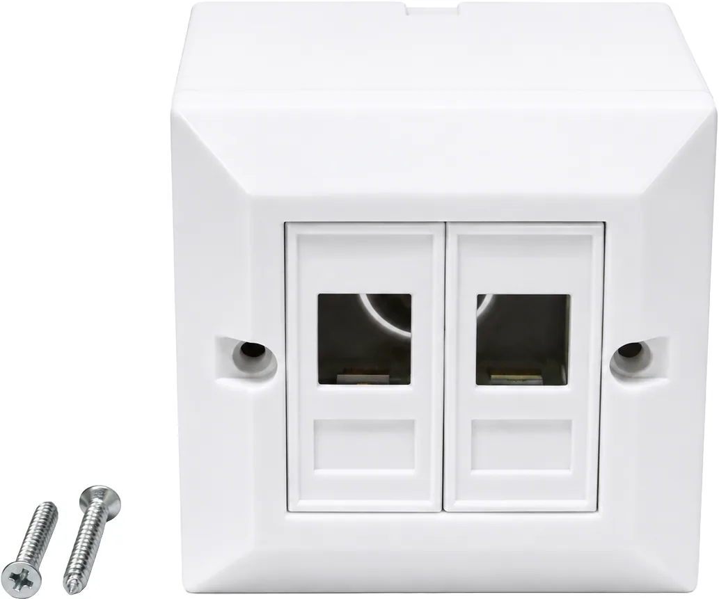 Double-gang faceplate for network outlet, without connector, with surface back box