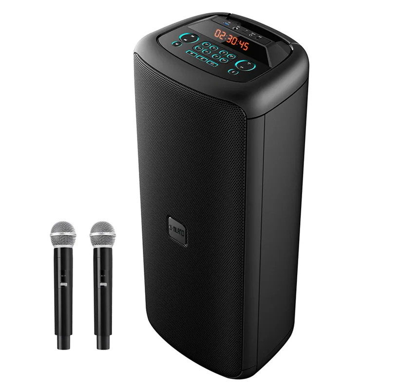 Enceinte portable 2×10″